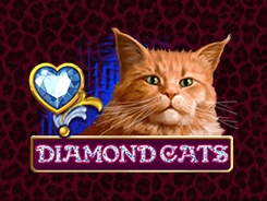 Diamond Cats