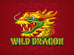 Wild Dragon