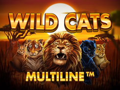 Wild Cats Multiline