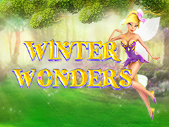 Winter Wonders